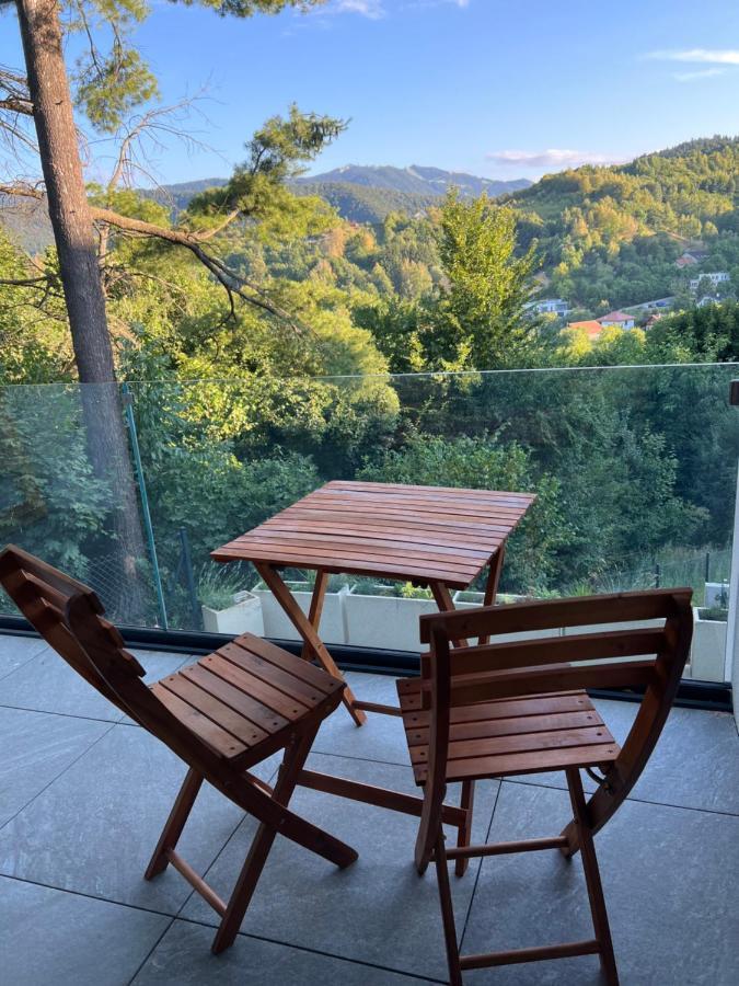 Green Garden Stejeris, Drumul Poienii Brașov Exterior foto